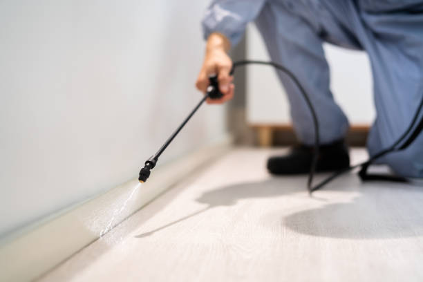 Bed Bug Pre-Treatment Preparation Assessment in Coldwater