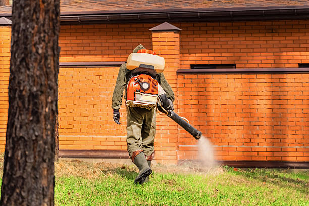 Bed Bug Clearance Verification and Documentation in Coldwater